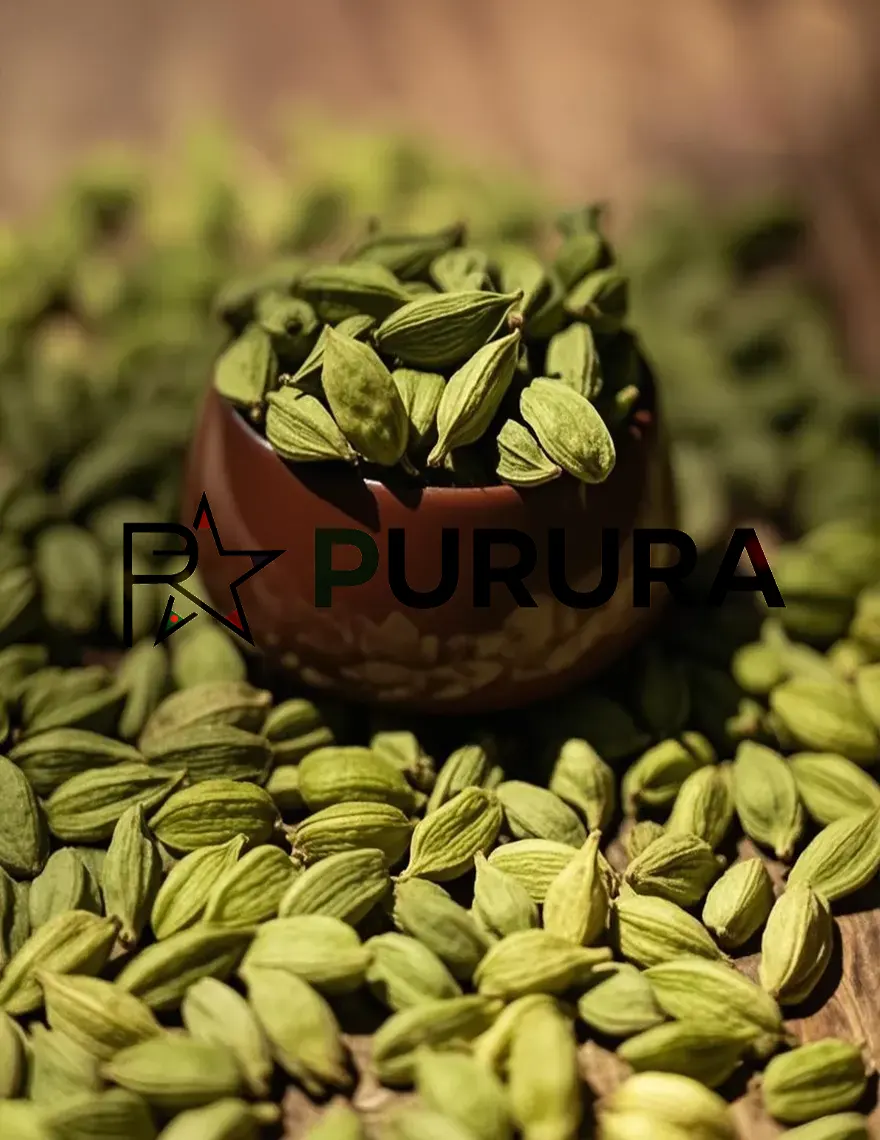 Premium Green Cardamom (Elettaria)